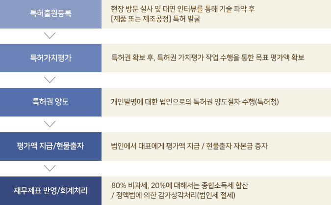 특허 자본화의 진행과정